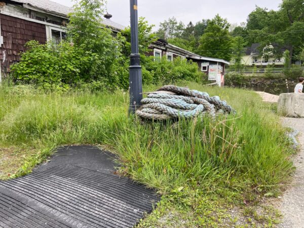Gazon non entretenu dans le stationnement municipal et à la marina de North Hatley