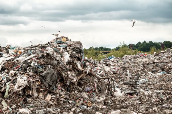 Le parc des Rivières de North Hatley a déjà été un décharge municipale, vrai ou faux?
