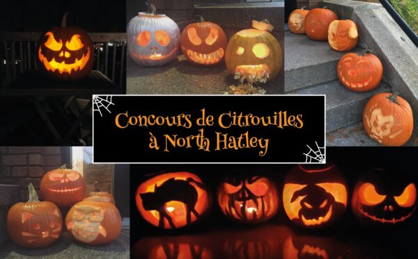 Concours de Citrouilles à North Hatley – présenté par Plogg Média