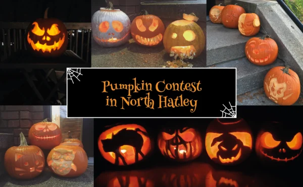 Pumpkin Contest in North Hatley – presented by Plogg Media